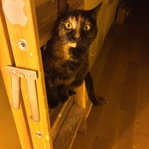 Meet your Posher, Patty